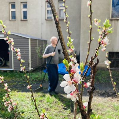 Posezení na terase, zahradničení a procházky