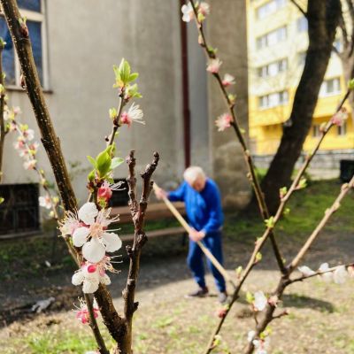 Posezení na terase, zahradničení a procházky