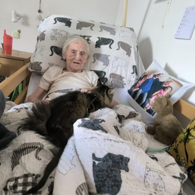 Amatérská felinoterapie (druhá návštěva)