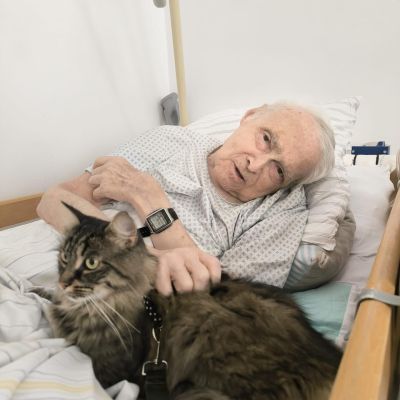 Amatérská felinoterapie (druhá návštěva)