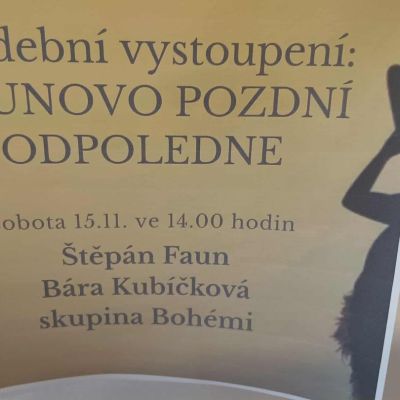 Hudební vystoupení