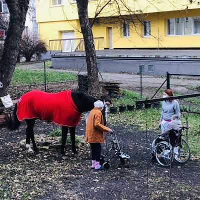 Návštěva asistenčního koně