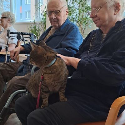 Setkání se zvířaty (2. část)