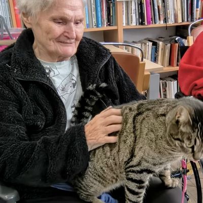 Setkání se zvířaty (2. část)