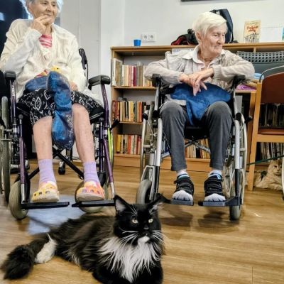 Setkání se zvířaty (2. část)